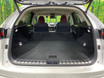 LEXUS NX300