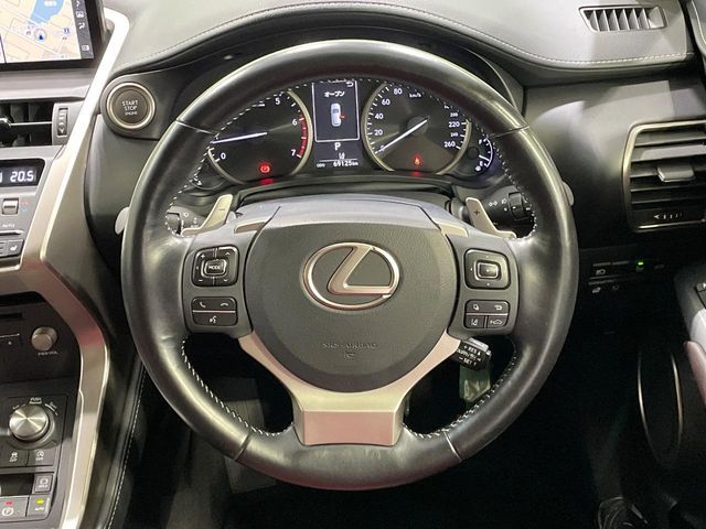 LEXUS NX300