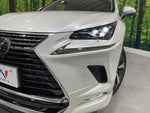 LEXUS NX300