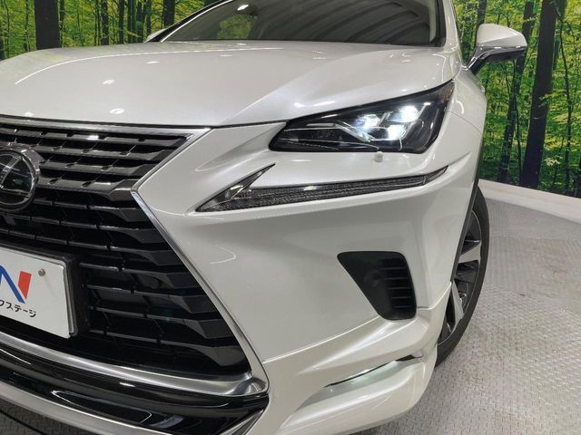 LEXUS NX300