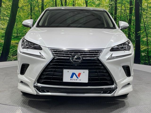 LEXUS NX300