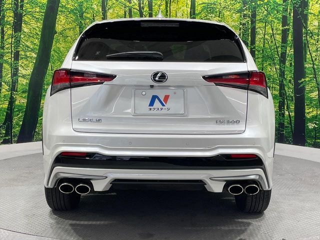 LEXUS NX300