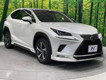 LEXUS NX300