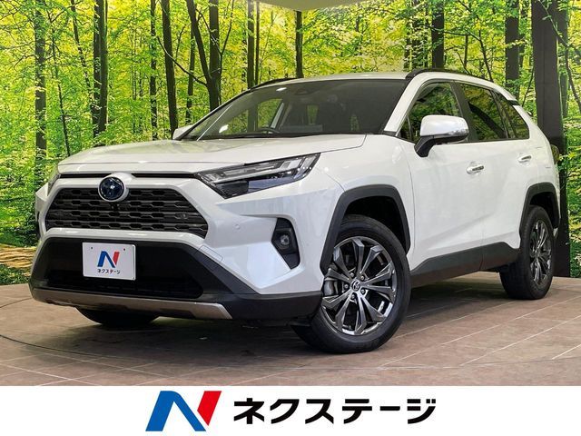 RAV4 HYBRID 4WD