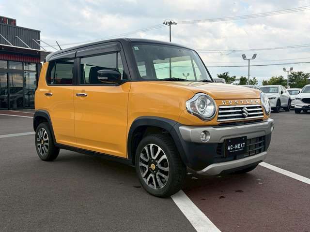 HUSTLER 4WD