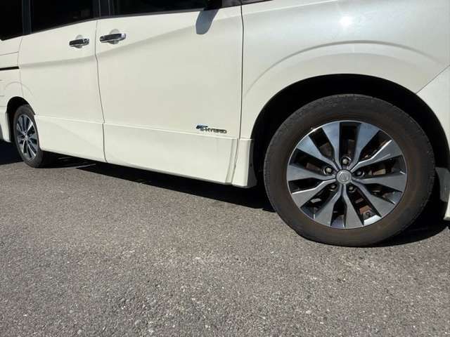 SERENA  S-HYBRID