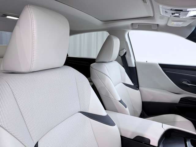 LEXUS ES300h