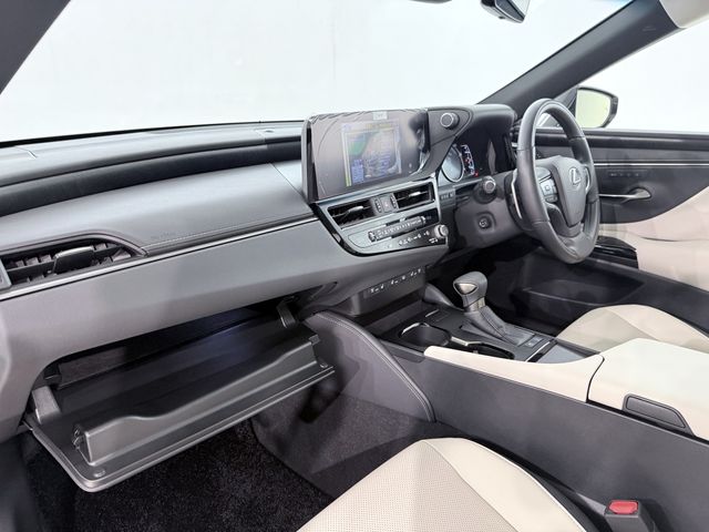 LEXUS ES300h