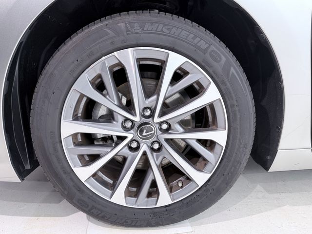 LEXUS ES300h