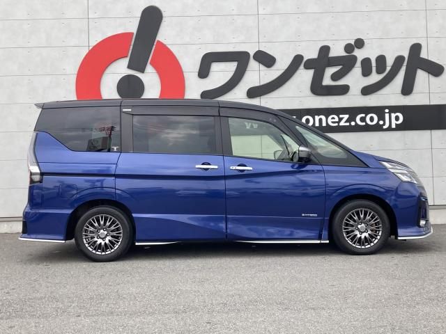 SERENA  S-HYBRID