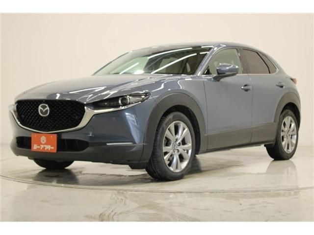 CX-30