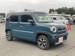 HUSTLER 4WD