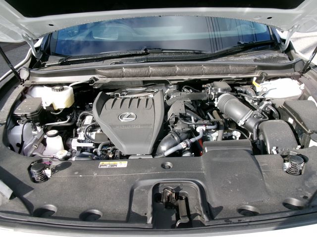 LEXUS RX500h