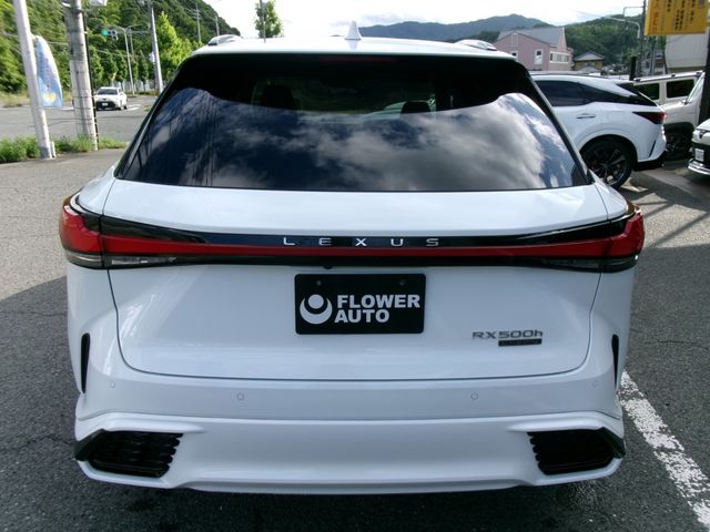 LEXUS RX500h