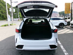 LEXUS RX500h