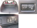 LEXUS RX500h