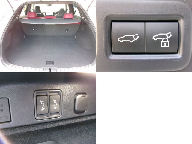 LEXUS RX500h