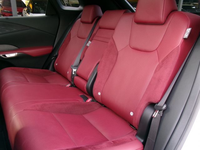 LEXUS RX500h
