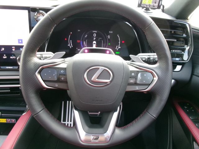 LEXUS RX500h