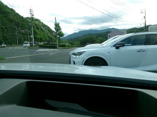 LEXUS RX500h