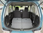 WAGON R STINGRAY