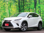 LEXUS NX300
