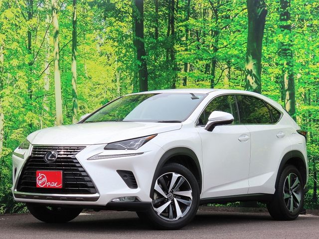 LEXUS NX300