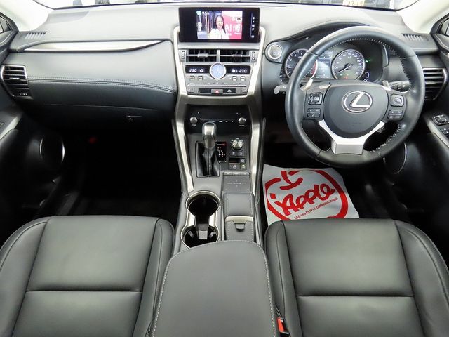 LEXUS NX300
