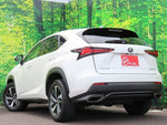 LEXUS NX300