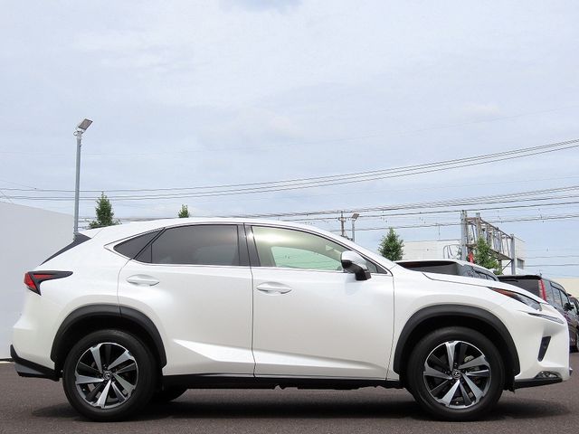 LEXUS NX300