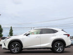 LEXUS NX300