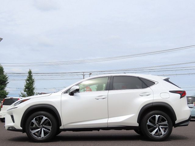 LEXUS NX300