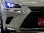 LEXUS NX300