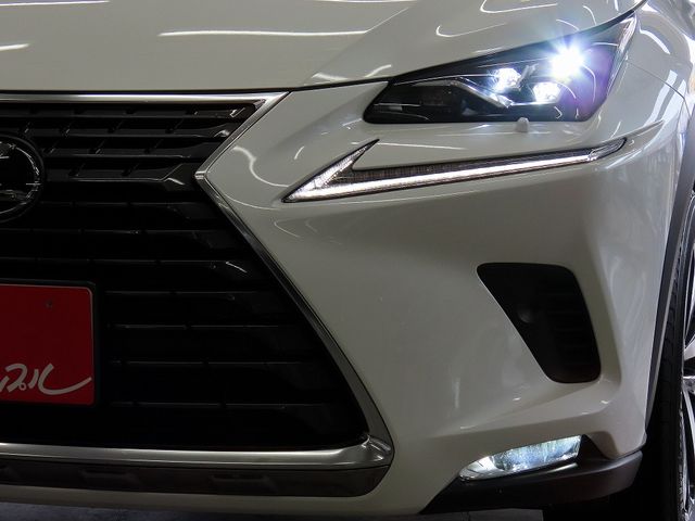 LEXUS NX300