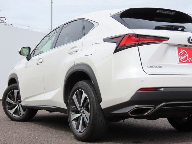 LEXUS NX300