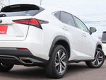 LEXUS NX300