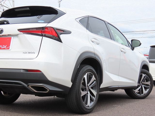 LEXUS NX300