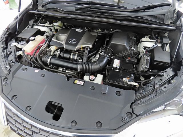 LEXUS NX300