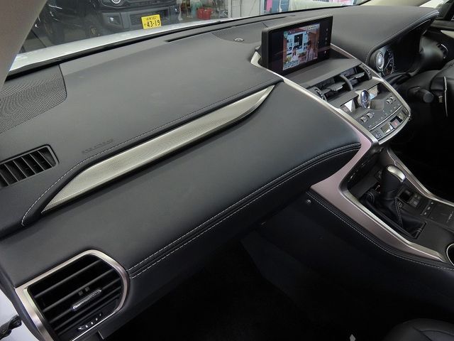 LEXUS NX300
