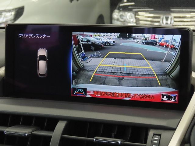 LEXUS NX300