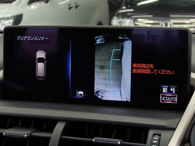 LEXUS NX300