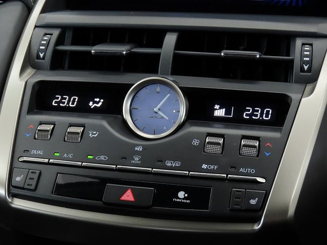 LEXUS NX300