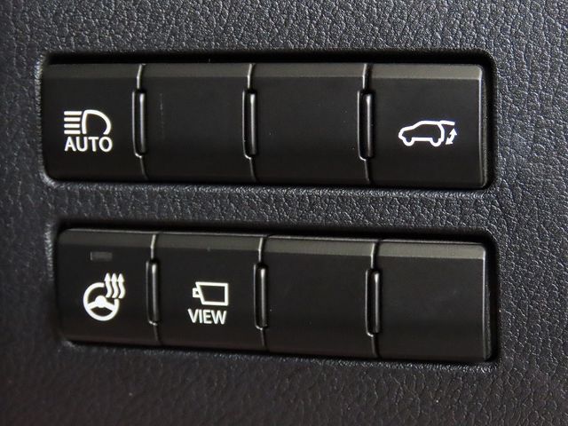 LEXUS NX300