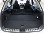 LEXUS NX300