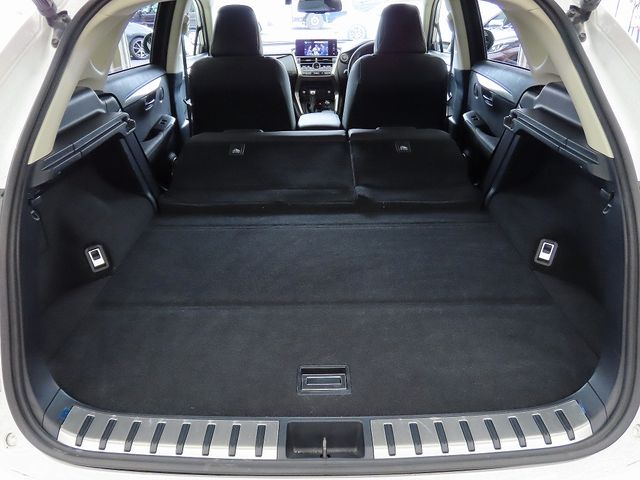 LEXUS NX300