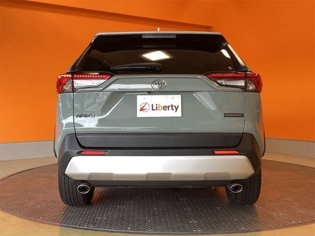 RAV4 4WD