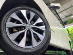 SERENA  S-HYBRID