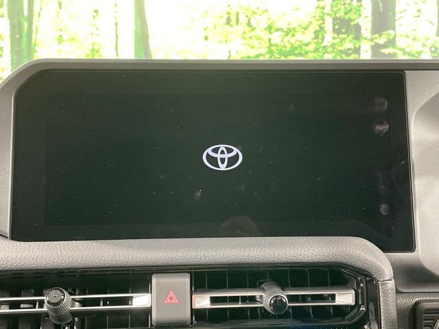 LANDCRUISER 250