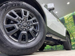 LANDCRUISER 250