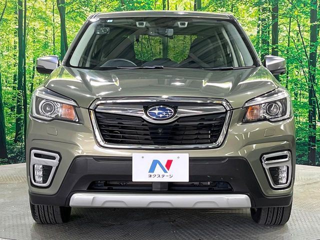 FORESTER